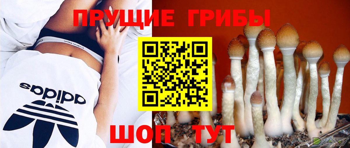 наркотики  Вход с VPN  Ипатово  Псилоцибиновые грибы MAGIC MUSHROOMS 