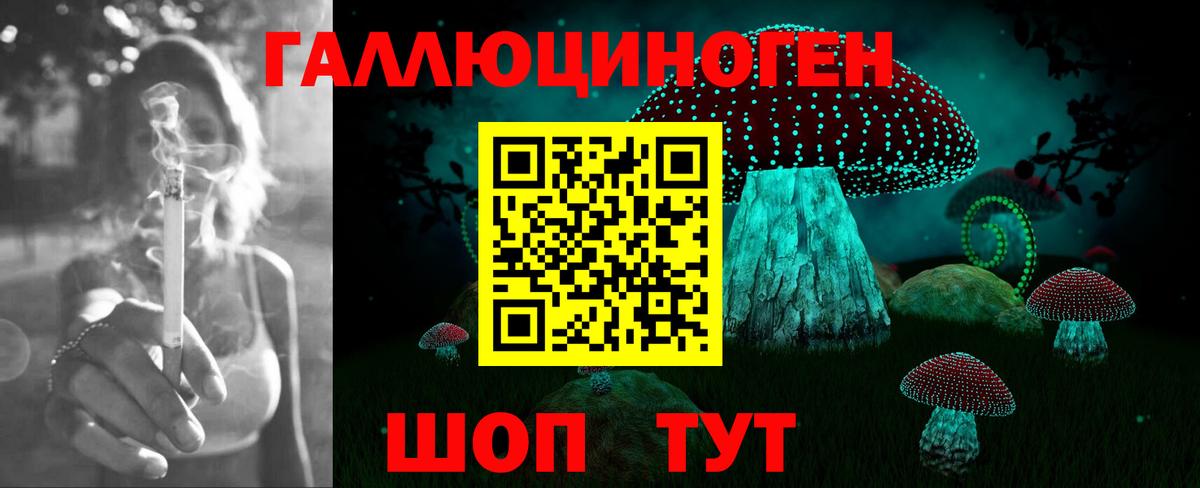 Псилоцибиновые грибы ЛСД Ипатово